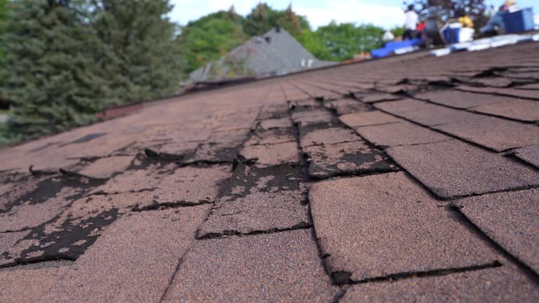 Best Hot Roofs  in Ingalls Park, IL