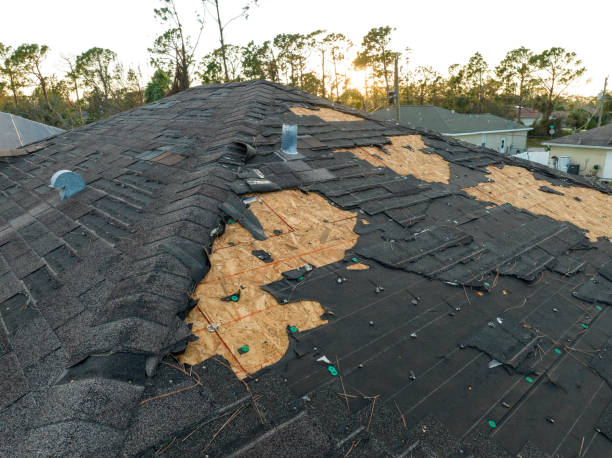 Best Metal Roofing Installation  in Ingalls Park, IL